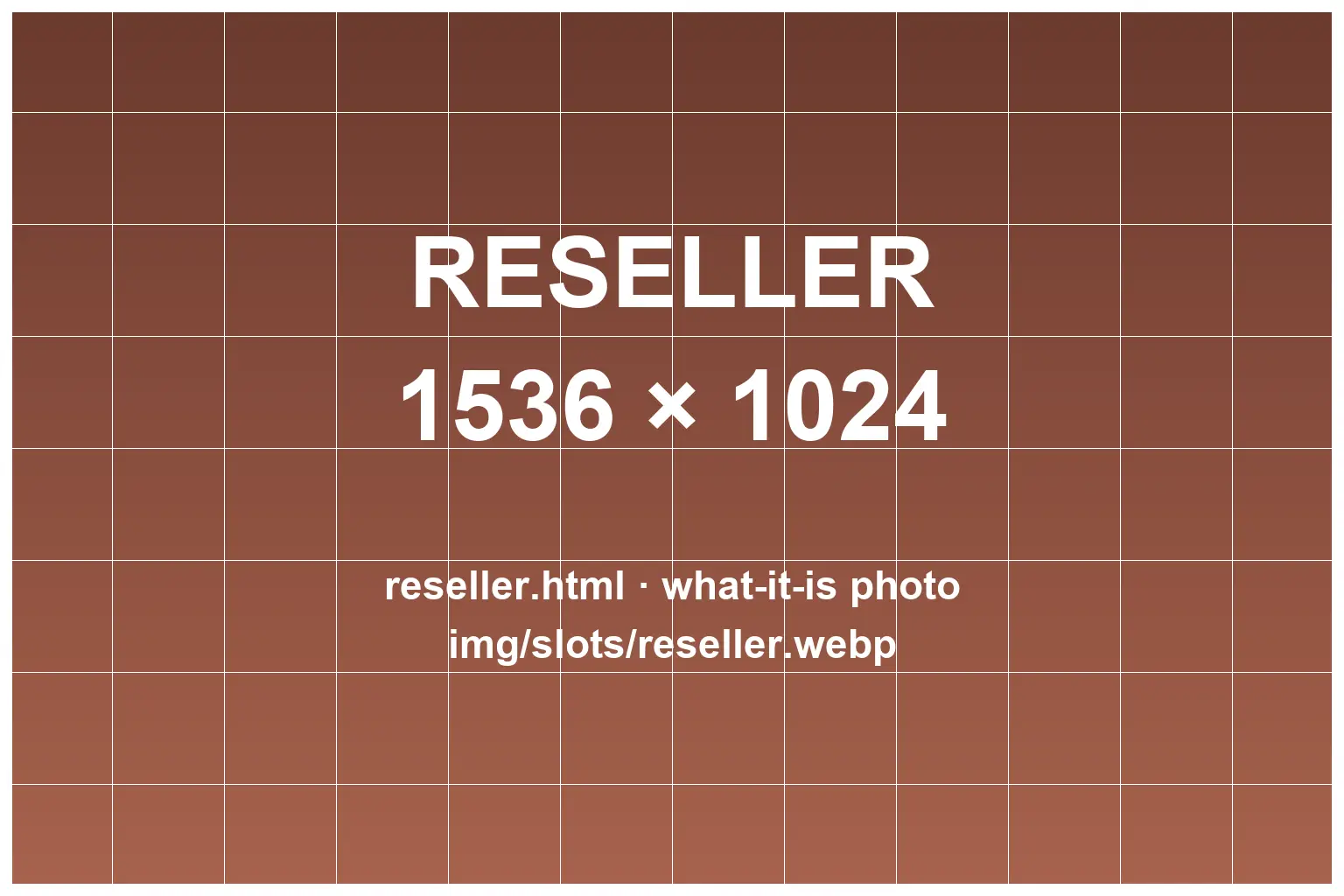Reseller image — replace img/slots/reseller.webp